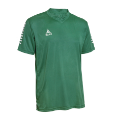 Футболка SELECT Pisa player shirt s/s Green